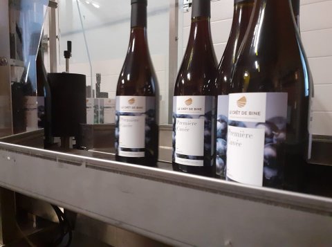 Mise en bouteille du Beaujolais nouveau 2019 - Domaine du "Crêt de Bine"